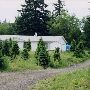 Christmas Tree Farm