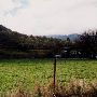 Pioneer Road Farm