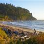 Cape Meares North of Radar Road