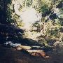 Clearwater Falls