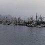 Newport, City of
