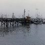 Newport, City of