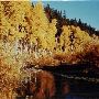 Crooked Creek
