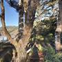 Arch Rock Picnic Area