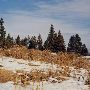 Jaz Ranch