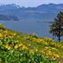 Mosier Plateau