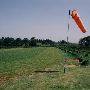 Rural Salem Airstrip