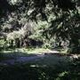 Arch Rock Picnic Area