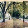 SE Reed College Place