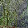 Columbia River Gorge National Scenic Area