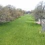 Waterfront Park
