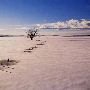 Malheur Lake