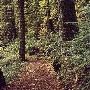 Silver Falls State Park