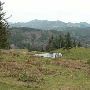 Guynup Property