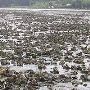 Clausen Oyster Farm