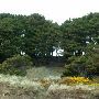 Bandon, City of