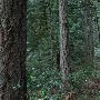 Oxbow Park