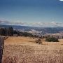Pendleton/Enterprise Wheatfields and Crops