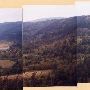 Columbia Gorge fall colors