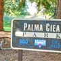 Palma Ciea Park