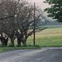 Jacobson Road at Croeni Road - Hillsboro