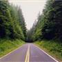 Larch Mountain Roads - Near Corbett