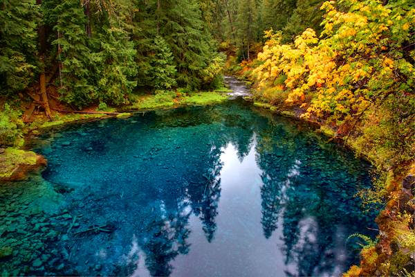 McKenzie River (9/22/2010)