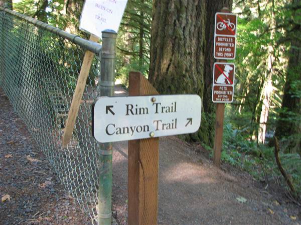 Silver Falls State Park (8/24/2011)
