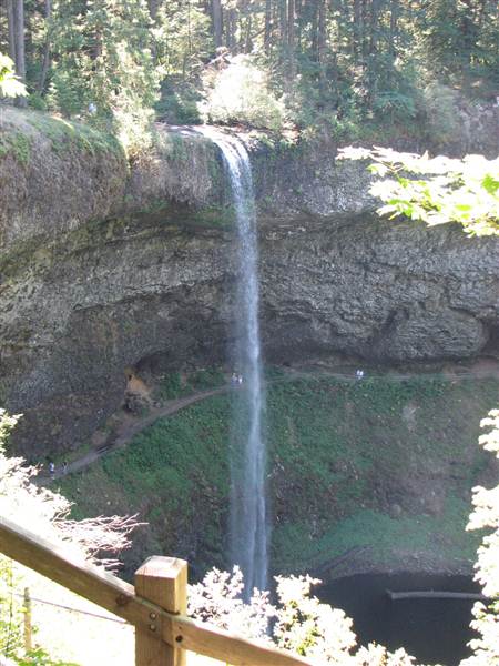 Silver Falls State Park (8/24/2011)