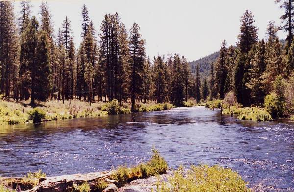 Metolius River (9/7/2006 6:43:31 PM)
