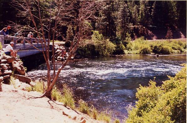 Metolius River (9/7/2006 6:44:59 PM)