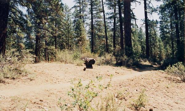 Metolius River (9/7/2006 6:49:58 PM)