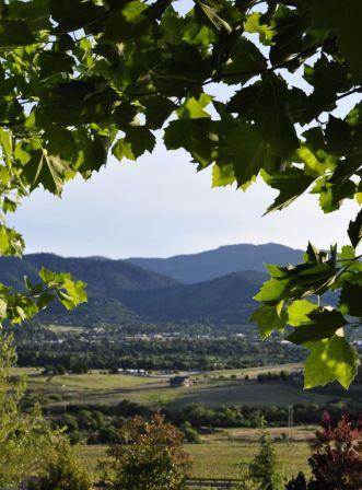 Belle Fiore Winery