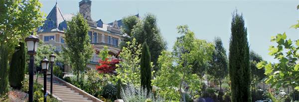 Belle Fiore Winery