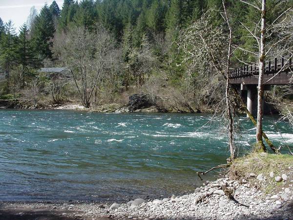 McKenzie River (12/4/2006 6:47:30 PM)