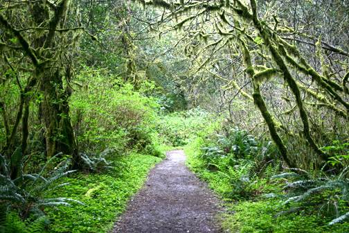 Golden and Silver Falls State Natural Area (4/20/2006 - Credits: Matt Petras)