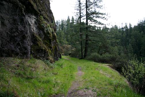 Golden and Silver Falls State Natural Area (4/20/2006 - Credits: Matt Petras)