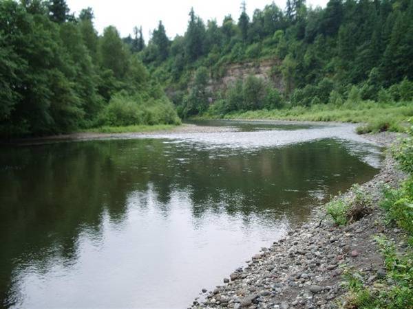 Sandy River (6/4/2007)
