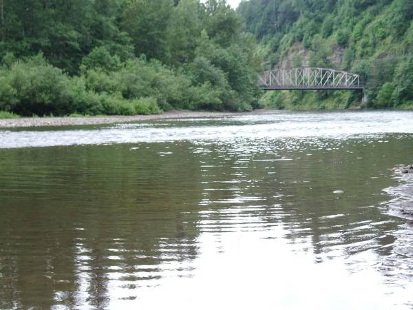 Sandy River (6/4/2007)