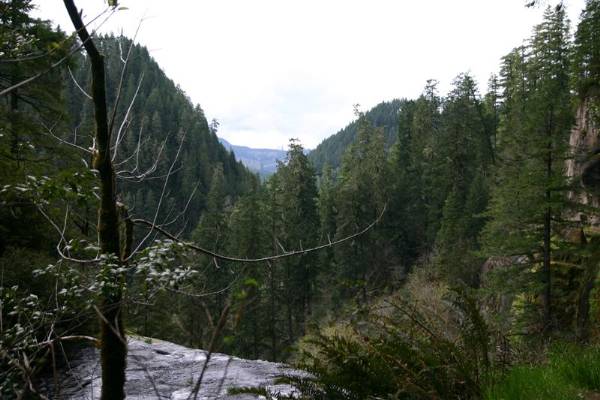 Golden and Silver Falls State Natural Area (6/7/2007)