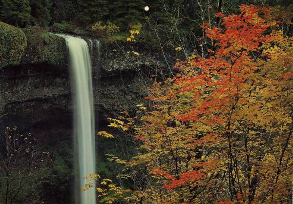 Silver Falls State Park - South Falls (6/18/2007)