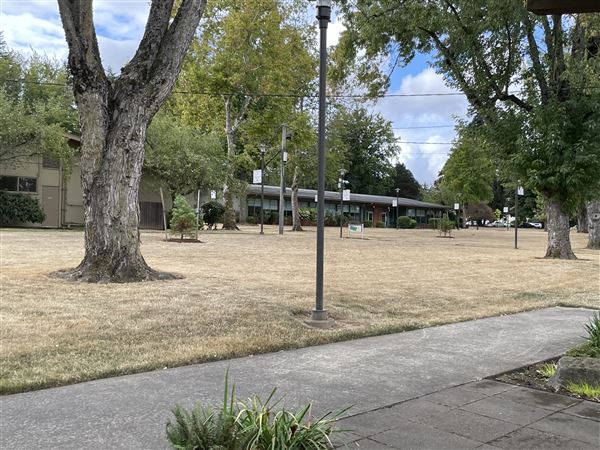 Linfield University - Portland Campus - Nursing - School Campus (9/20/2023 - Credits: Mercedes Rose)