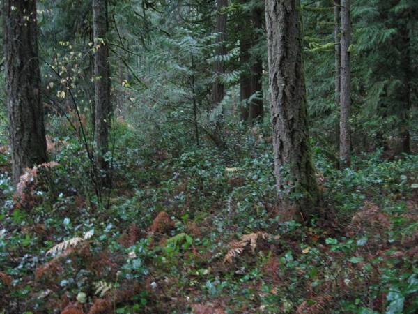 Oxbow Park (11/3/2008 - Credits: Bob Schmaling)