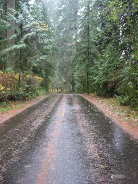 Oxbow Park (11/3/2008 - Credits: Bob Schmaling)