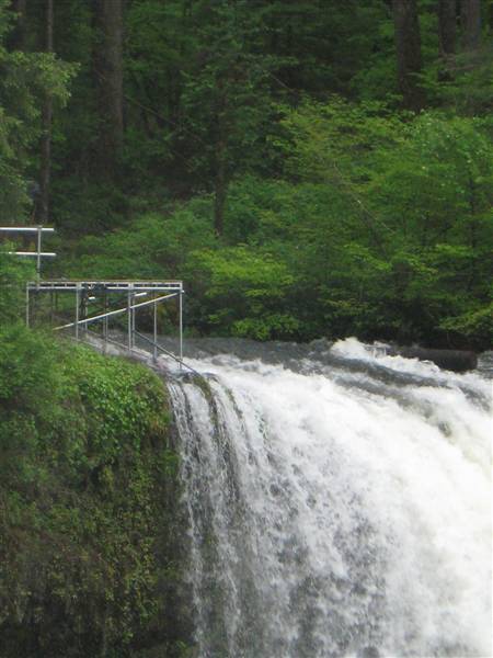 Silver Falls State Park (6/8/2010 - Credits: J Ridley)