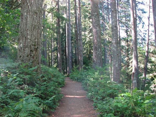 Silver Falls State Park (8/24/2011)