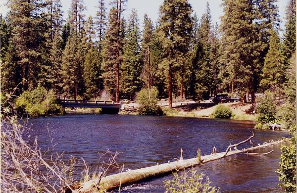 Metolius River (9/7/2006 6:43:31 PM)