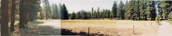 Metolius River (9/7/2006 6:49:58 PM)