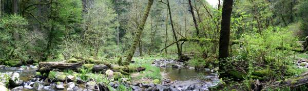 Golden and Silver Falls State Natural Area (4/20/2006 - Credits: Matt Petras)
