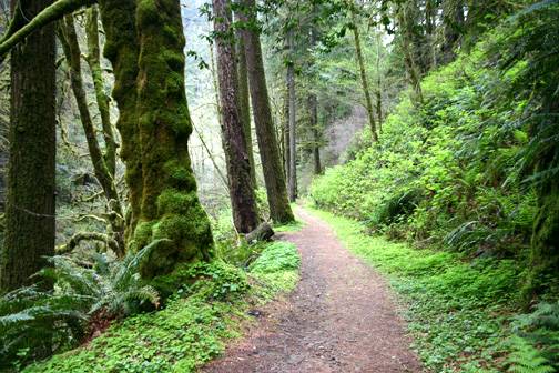 Golden and Silver Falls State Natural Area (4/20/2006 - Credits: Matt Petras)